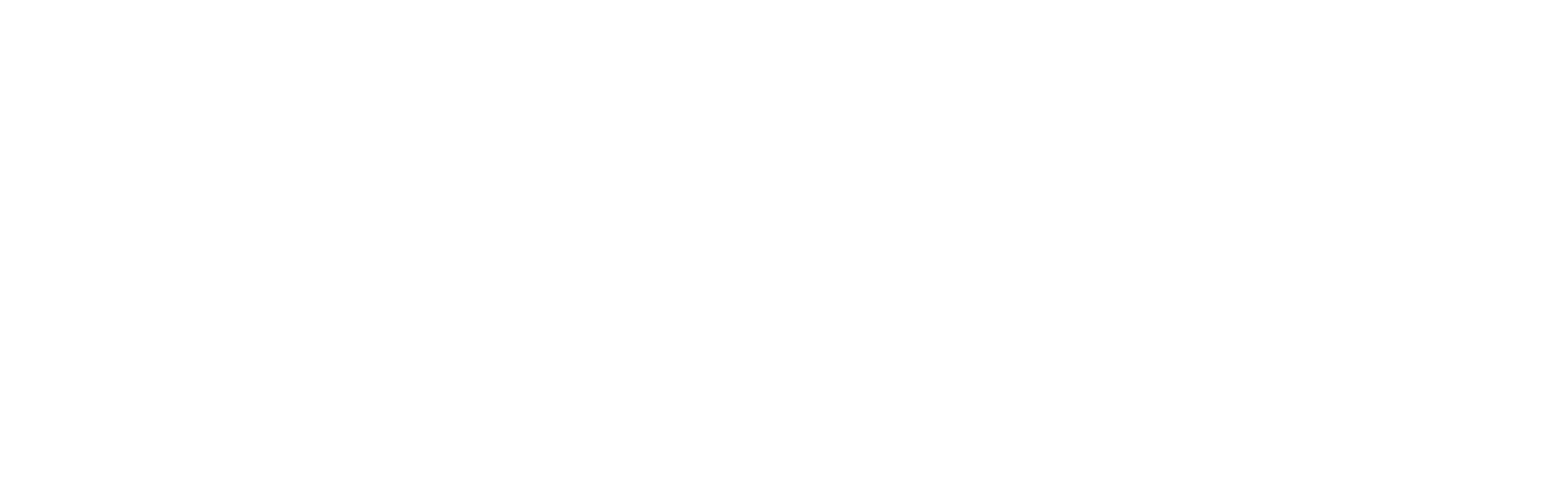 salesforce+logo+white